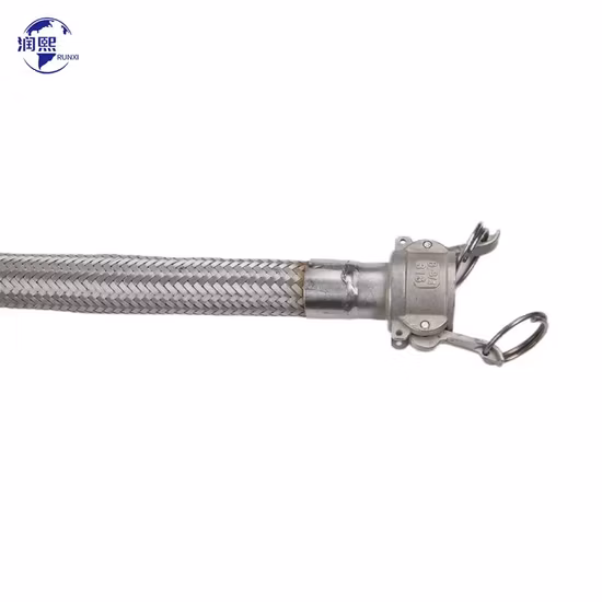 Tubo flessibile corrugato metallico in acciaio inox con estremità flangiata