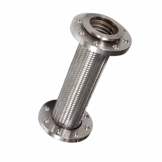 Tubo flessibile corrugato in acciaio inossidabile DN 1/4-12 pollici con flangia di montaggio